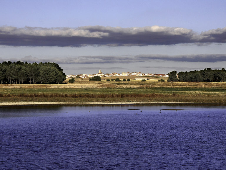 Día de los Humedales, Lagunas de Cantalejo