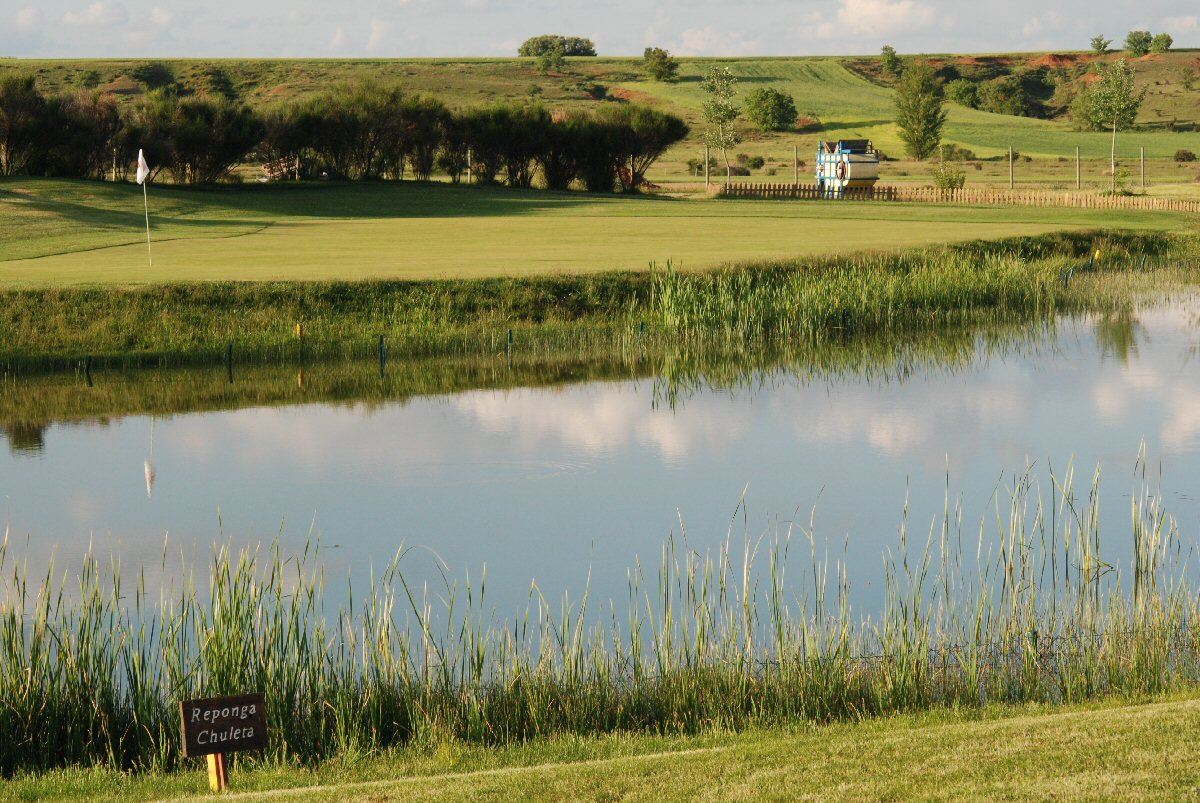 club de golf las llanas5