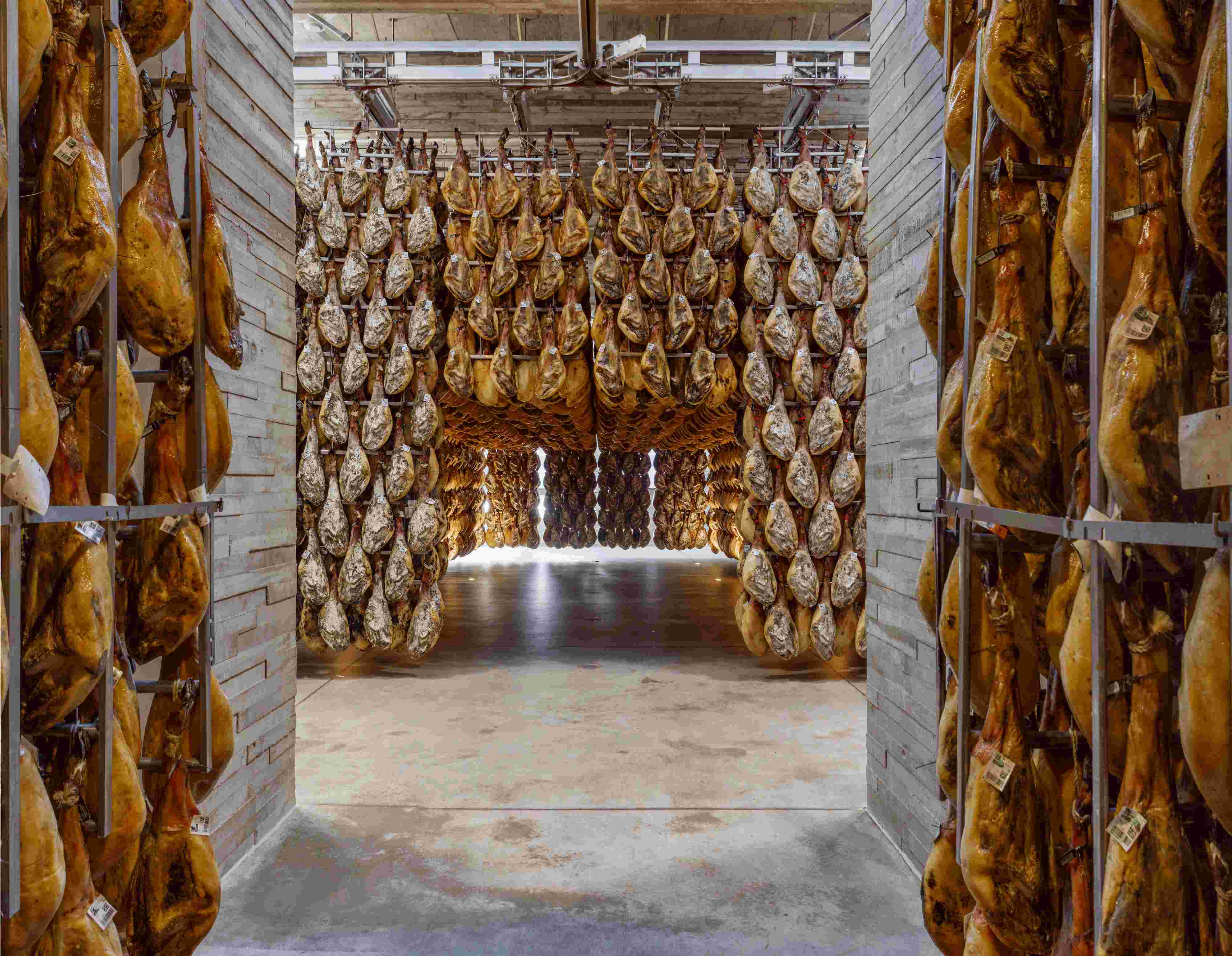 MonteNevado-Campus-del-Jamon-Cripta-4_1.jpg