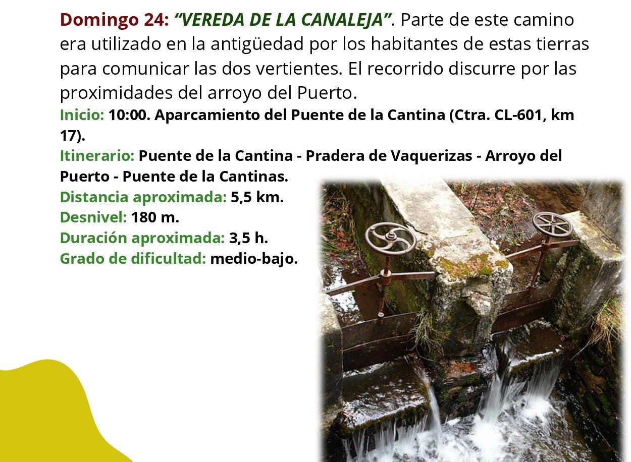 ceneam-verano-2025_24agosto.jpg