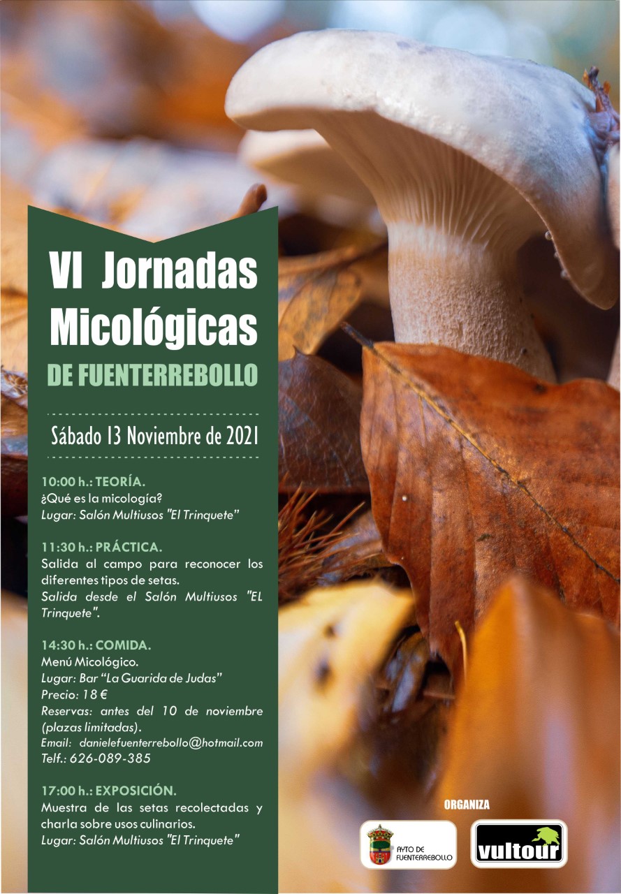 fuenterebollo_jornadas_micologicas.jpg