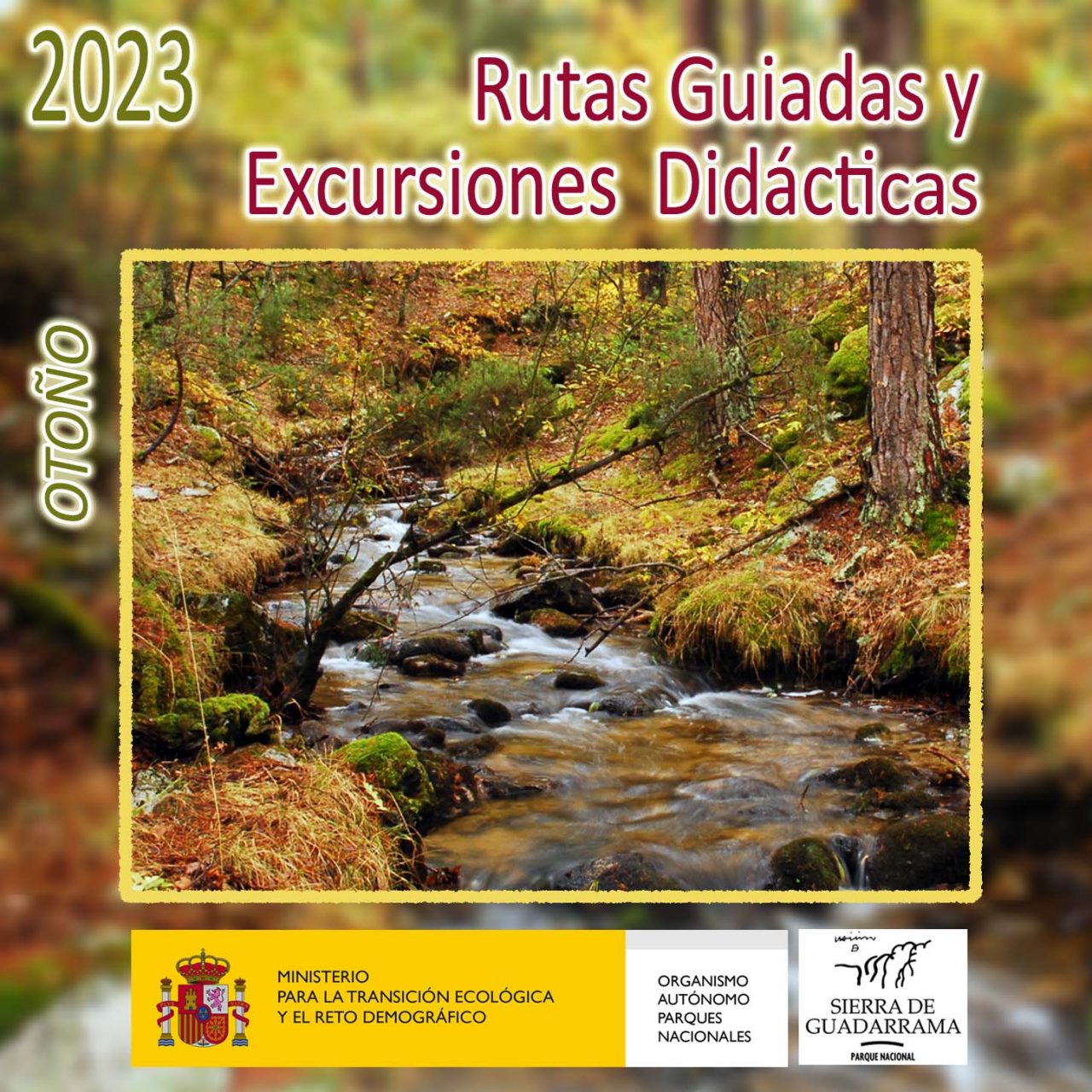 Programa de rutas guiadas y excursiones didácticas - Otoño 2023
